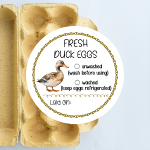 Home Duck Eggs Stickers